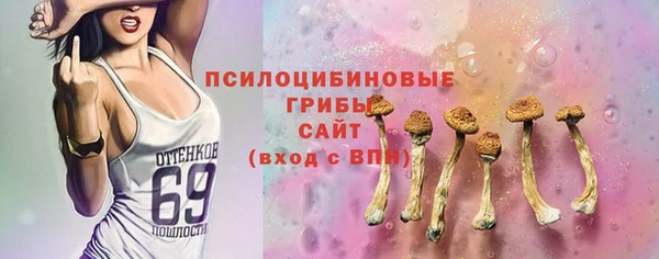 ешки Алексеевка