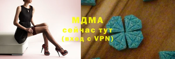 СК Алексин