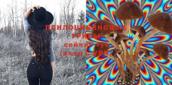 ешки Алексеевка